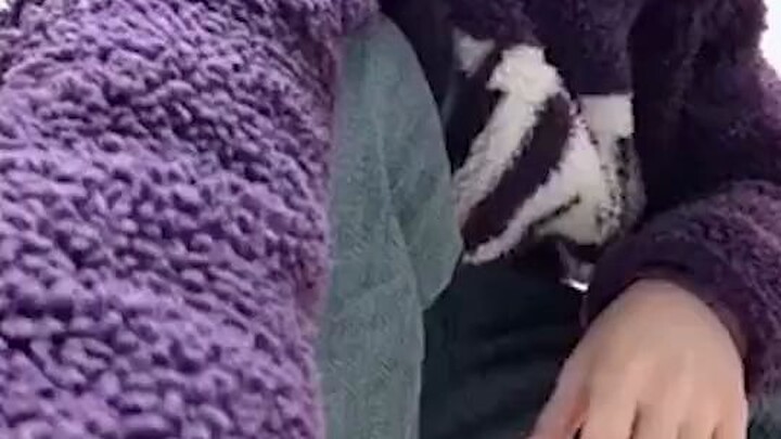 Chỉ cần bạn chạy đủ nhanh, người khác sẽ biết nhà bạn lớn đến mức nào.