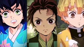 Demon Slayer|ships| TanKana|ZenNezu|InoAoi|