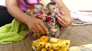 So Lovely Baby Monkey Maki And Maku Very Happy To Eat Much Longan and Banana