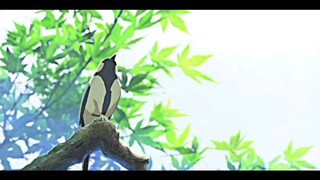 Animasi keren..!!