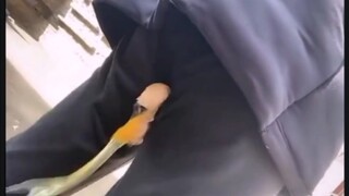 Funny Video Compilation | Can't Stop Laughing At It 