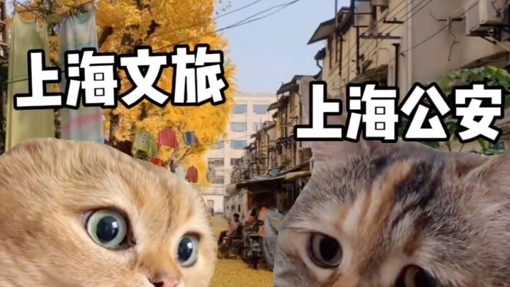 Shanghai Culture and Tourism: This is so tough for me.