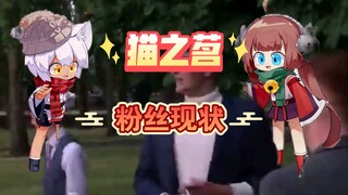 猫之茗粉丝现状