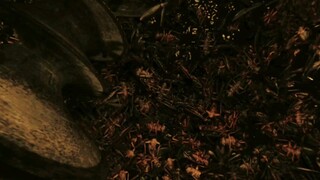 预制菜生意很火爆，快进到虫饼的改良口味蛋白质丰富
