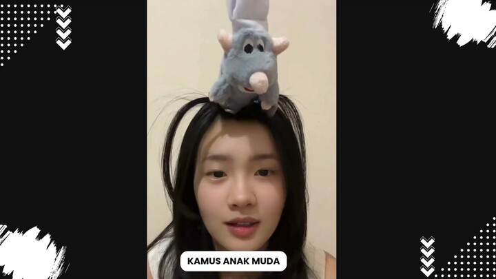 fakta bukan