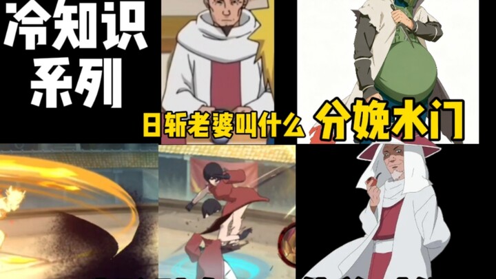 Loạt kiến thức lạ! Cha và vợ của Sarutobi Hiruzen tên là gì? Một số ninja có thể loại bỏ hiệu ứng đặ