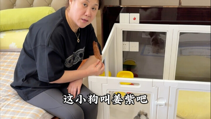 Nama apa yang cocok buat anak anjing? Susah banget!