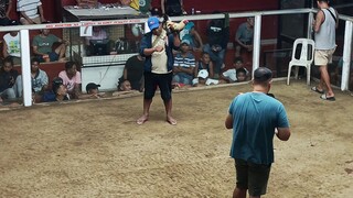 Valora cockpit Arena