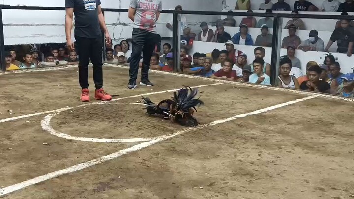 2ndfytwin