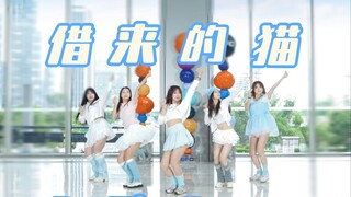 【illit】五个小手办在天空之镜跳舞！985挑战全网最元气《借来的猫》翻跳