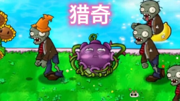 The entire text is about the emperor.