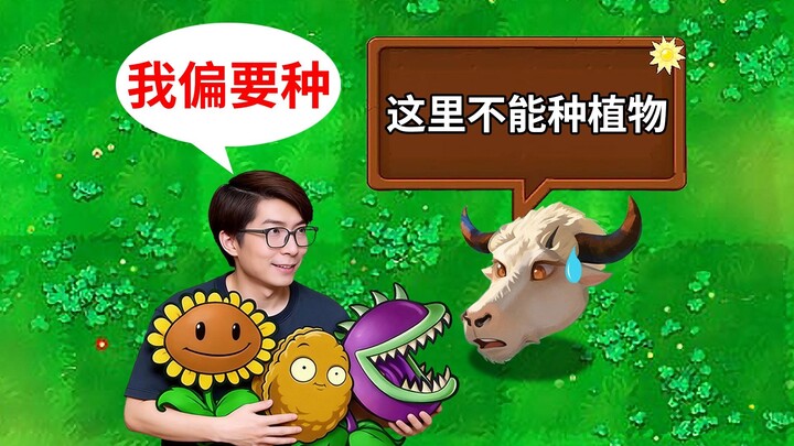 Trong phiên bản hướng dẫn mà cứ liều mình đụng độ con trâu đầu đàn, sẽ xảy ra điều gì?