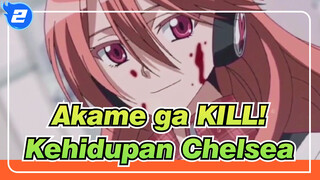 Akame ga KILL!
Kehidupan Chelsea_2