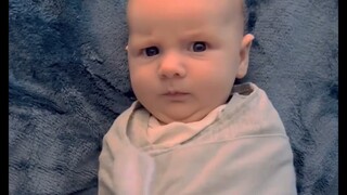 可爱宝宝，哈基米……