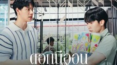 NEON FLOWER WAITING FOR LOVE EP. 11 (“บังเอิญได้พบสบตา”) #yinwar #warwanarat #yinyiny_anw #ceo #bl