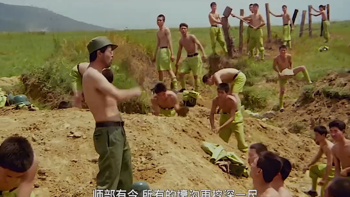 看过三毛的无不回忆一番，至少也都是20岁了吧