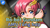 [Rô-bốt Gundam]SEED & Destiny/AMV chính thức Tổng hợp_B2