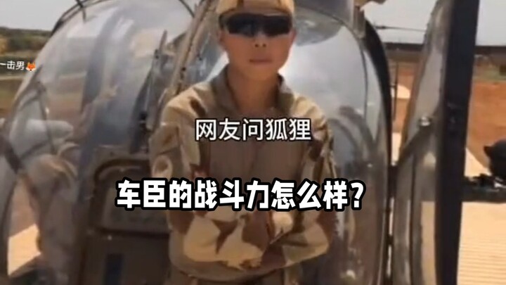 #Chechnya #Đấm một cái là im thin thít #Nửa con cáo #Cáo cực kỳ tàn tật