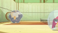 Angry Birds: Quậy tưng mùa hè EP 2 [Sub Việt]