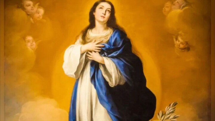 Monday, December 8, 2025 Solemnity of the Immaculate Conception of the Blessed Virgin Mary #faith #r