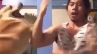 [Funny video compilation]Animals Doing Martial Arts