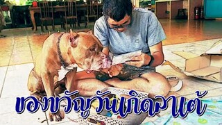 ของขวัญวันเกิดครบ 9 ปี