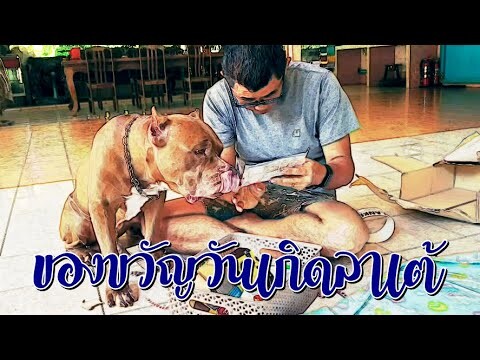 ของขวัญวันเกิดครบ 9 ปี