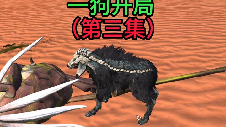 เล่นแค่หมา สร้างอาณาจักรหมา