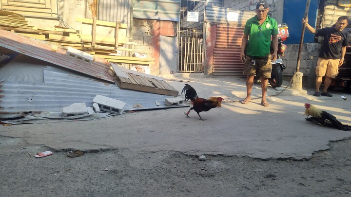 talisayin vs dalusapi #hackfight