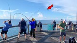 Fishing the Gulf Pier When Something Wild Happened!