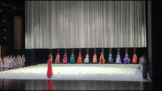 The stage play "Dream of Red Mansions" is really shocking. I really like Mr. Xiao Luo's Baoyu.