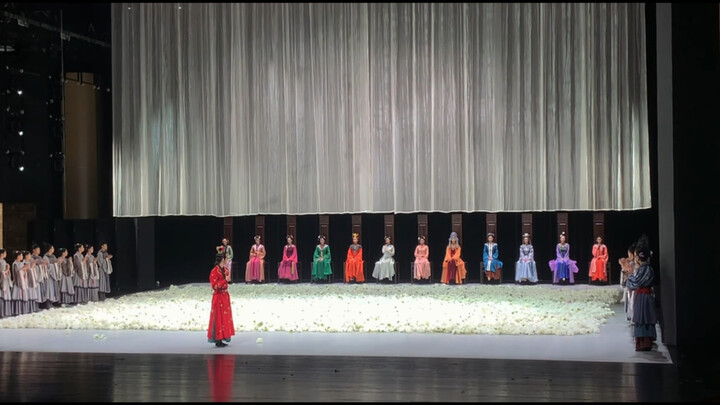 The stage play "Dream of Red Mansions" is really shocking. I really like Mr. Xiao Luo's Baoyu.