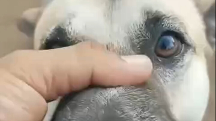 Nãy giờ bạn định làm gì vậy?