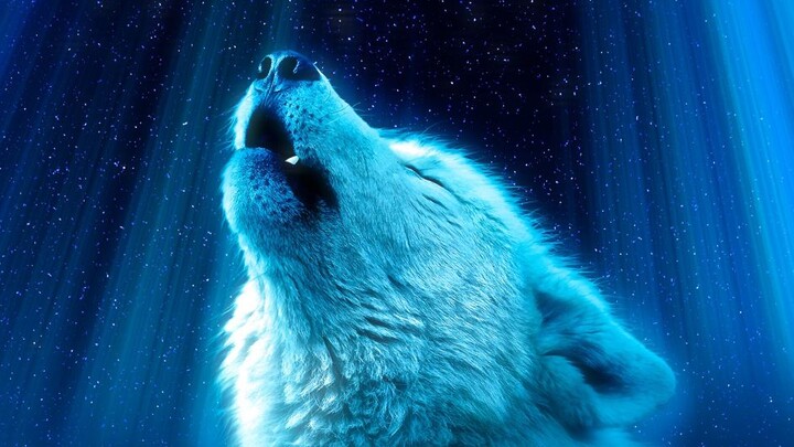 😮😮😮GG.        SURPRISED 🙀.🤜🤛