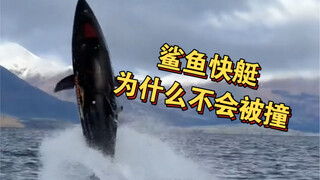 鲨鱼快艇在潜水的时候会不会什么都看不清？如何确保不会被撞