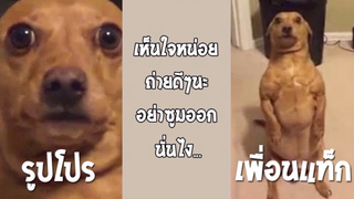 รวมคลิปตลกๆ : ได้โปรดอย่าเเท็กรูปมาอีก!!