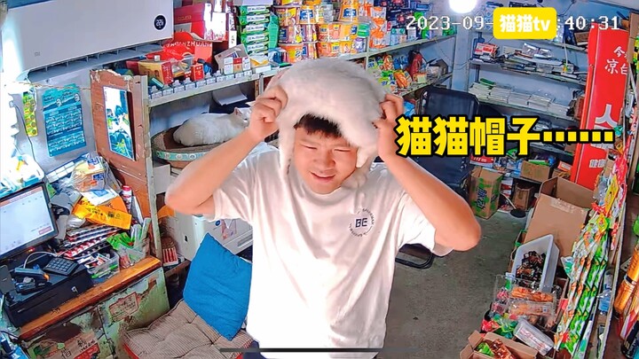 这些烦人猫就赖上我了以后的苦日子该怎么过啊