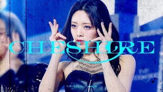 美神降临！申有娜MAMA 4K人间柴郡猫初舞台直拍