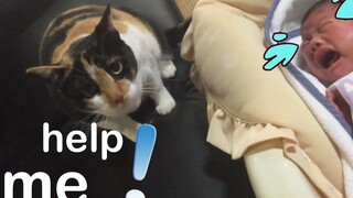 แมวอยากรู้อยากเห็นตลกๆ พบกับทารกแรกเกิดเป็นครั้งแรก 😸👶 วิดีโอแมวและเด็กน่ารัก