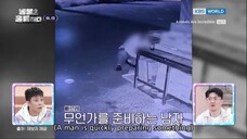 Animals Are Incredible Ep. 5