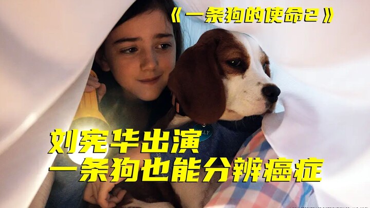 Ini bukan yang disebut sebagai memanaskan emosi dengan niat jahat! Film yang bakal mengacaukan renca