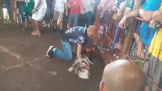 Jpaul Bulik good fight.