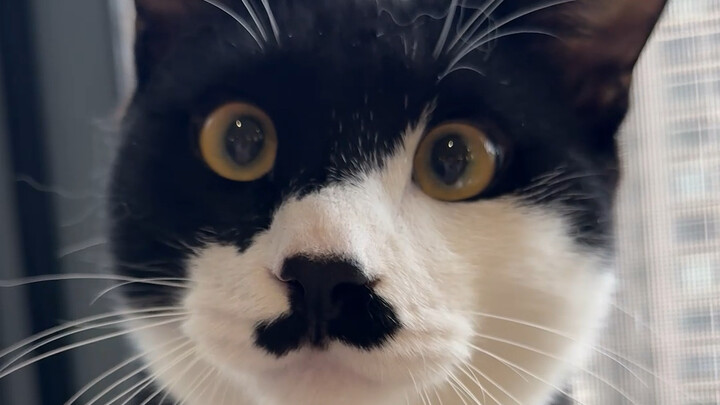 أحيانًا لا بدّ من استخدام السحر لمواجهة السحر!