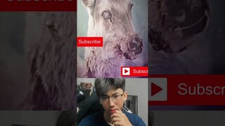 Yang tau aja☠️