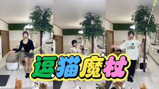 ساكي ما هو معاصر في اليابان🪄