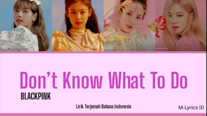 [LIRIK] DON'T KNOW WHAT TO DO_BLACKPINK_SUB-INDO