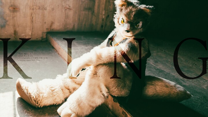 "KING" danced by JIPPO & RION ／ ジッポとリオンが『KING』を踊ってみた#きぐドル