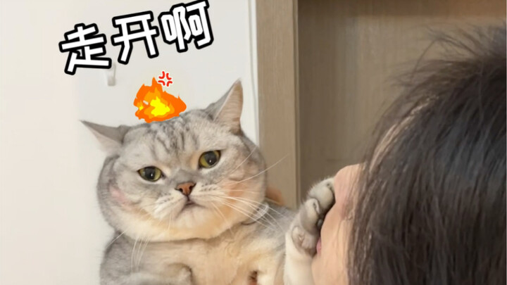 Check out my cat’s double-standard behavior when being kissed!