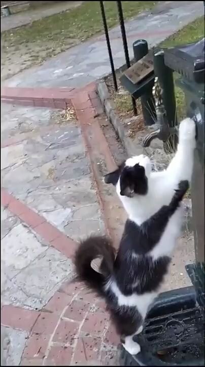 هل يمكنك مساعدتي في فتح الصنبور؟