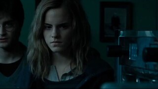 Hermione menghapus ingatan penjahat.... (Harry Potter Fandub Indonesia)